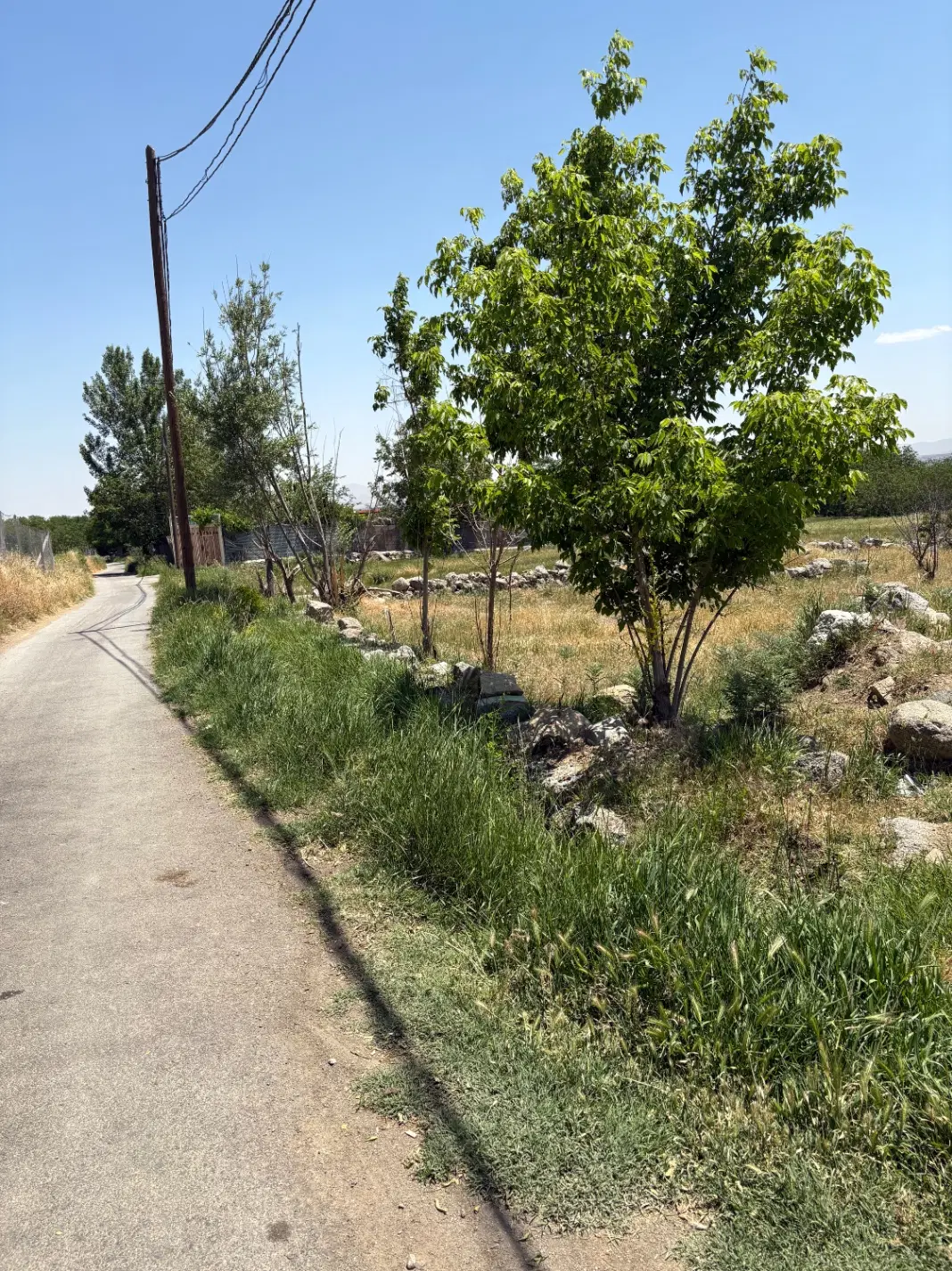 زمین باغی حیدره