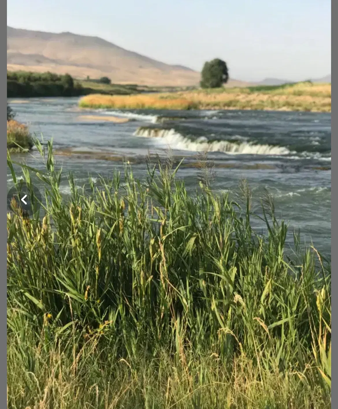 باغ داری سند تک برگ بر رودخانه زاینده رود