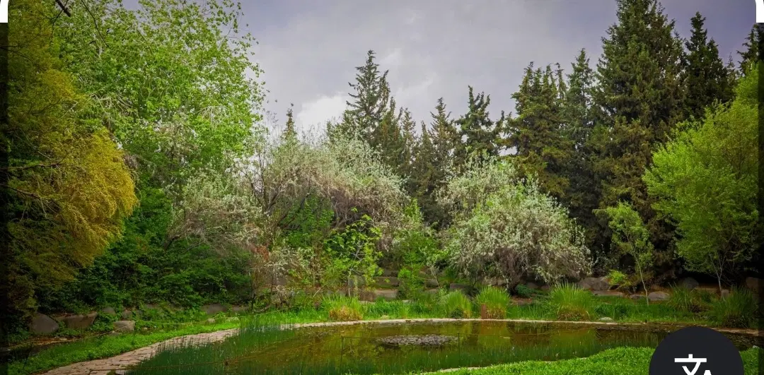زمین باغی جنب تنیس بهادری