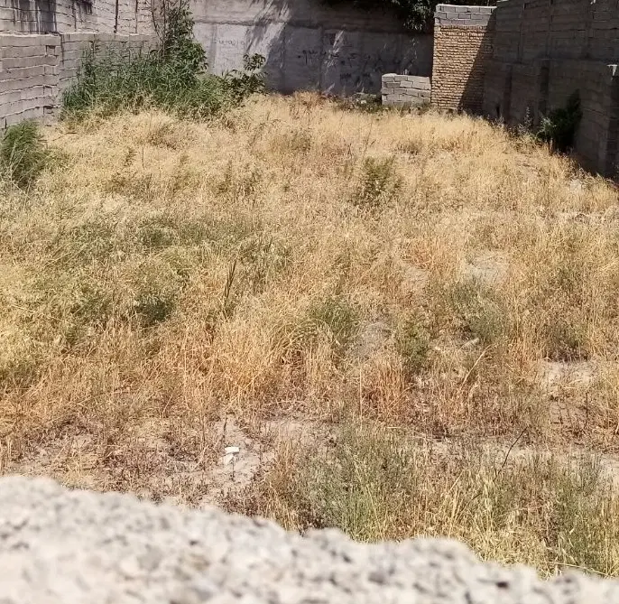یک قطعه زمین 240 متری