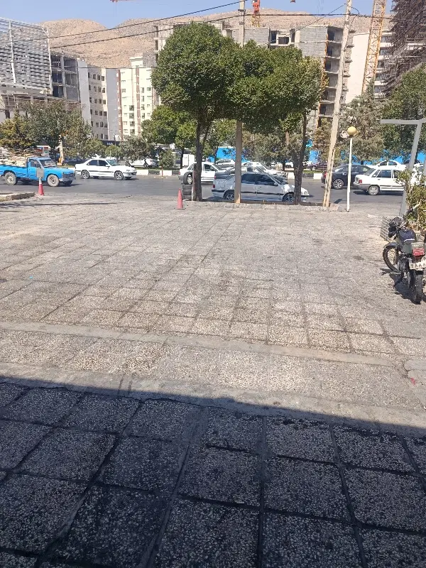 خانه کرونی