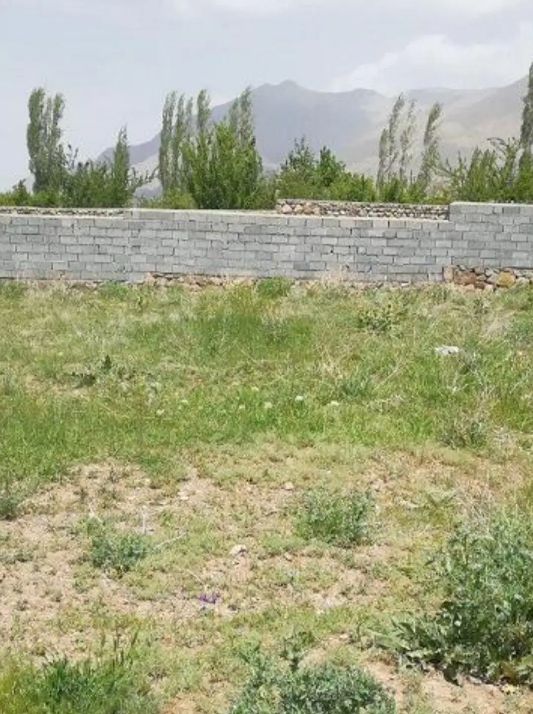 زمین  مخصوص سرمایه گذاری