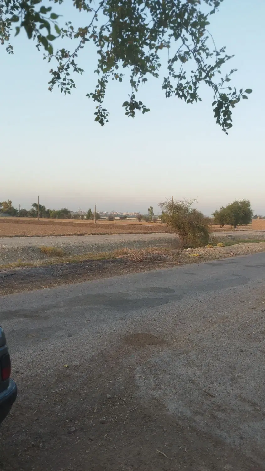 باغچه برقدار آزادگان