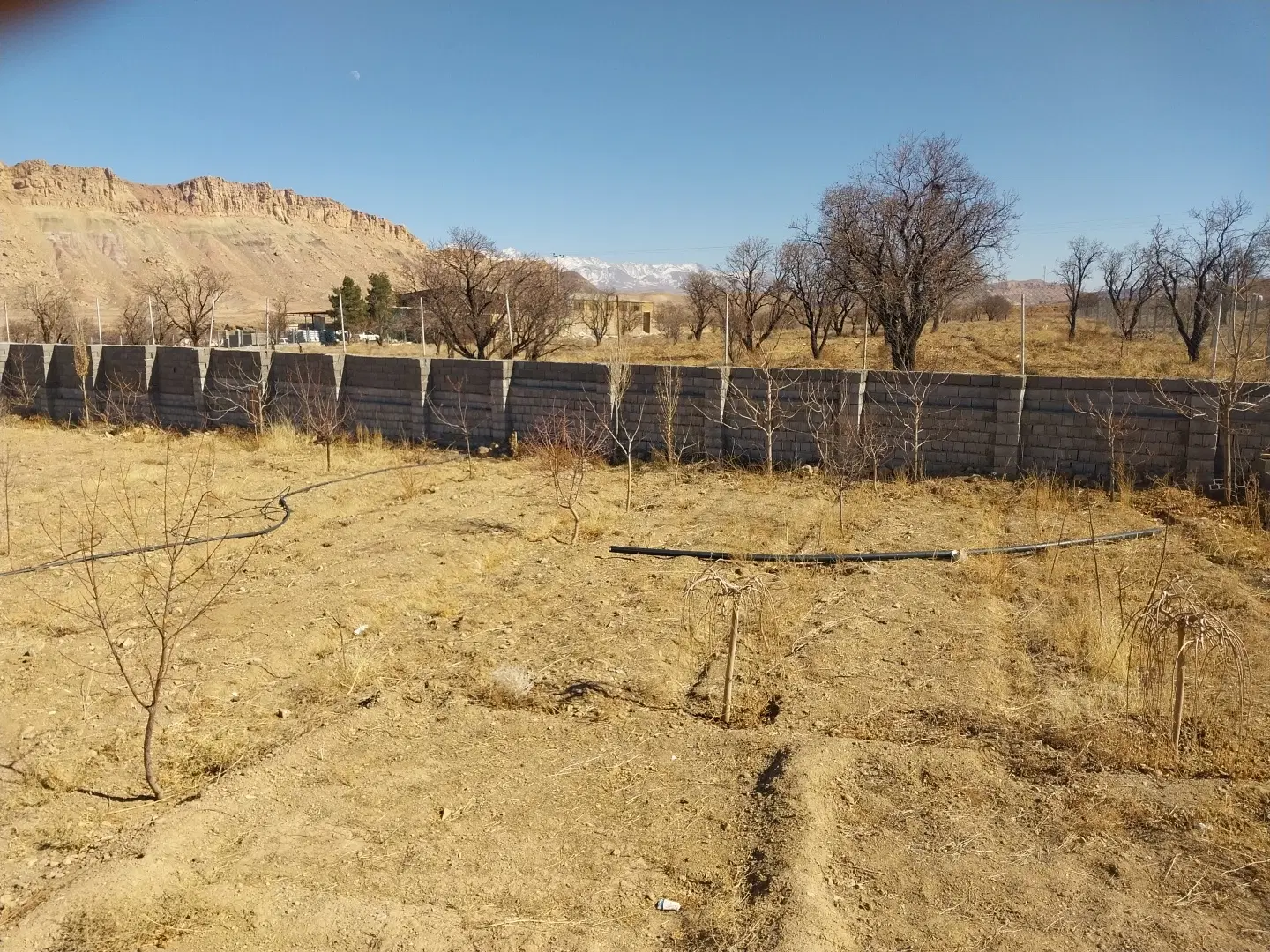 فروش زمین باغی واقع در روستای هستیجان