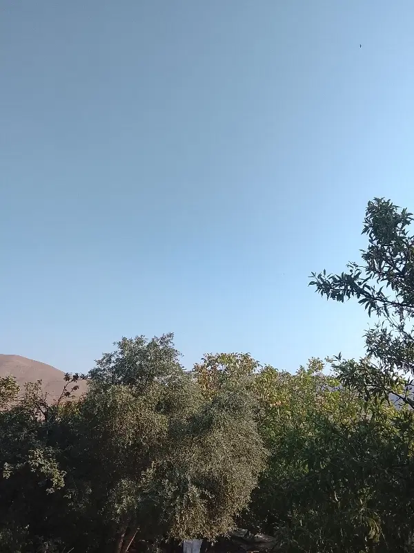 یک قطعه زمین و باغ در مجاورت ملک خزنان
