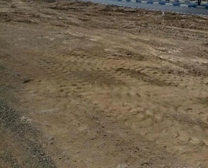 زمین باغی