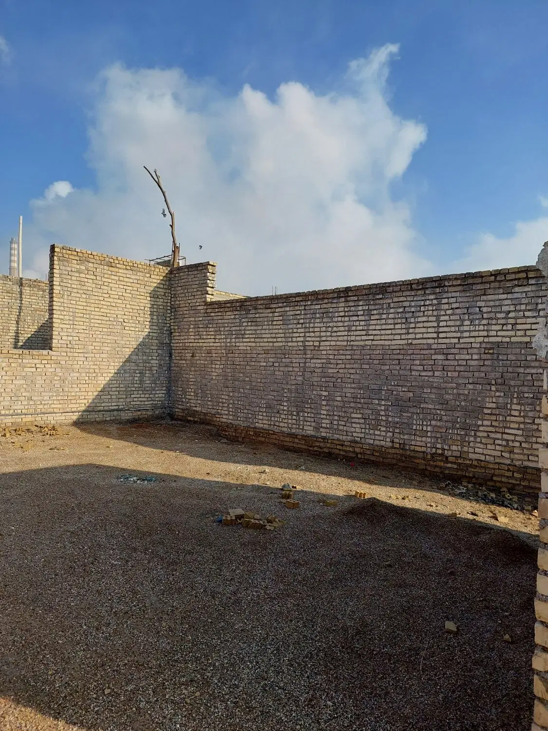 زمین کلنگی
