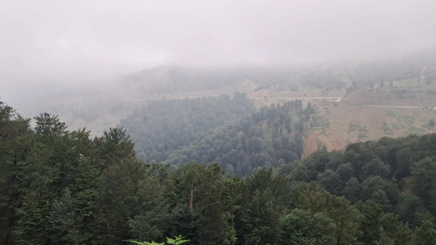 زمین بی راه
