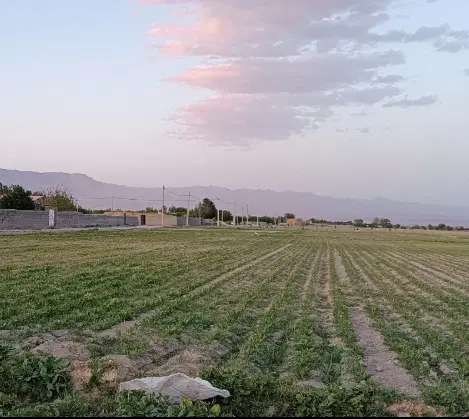 زمین کشاورزی +اب چاه موتور