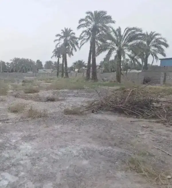 زمین