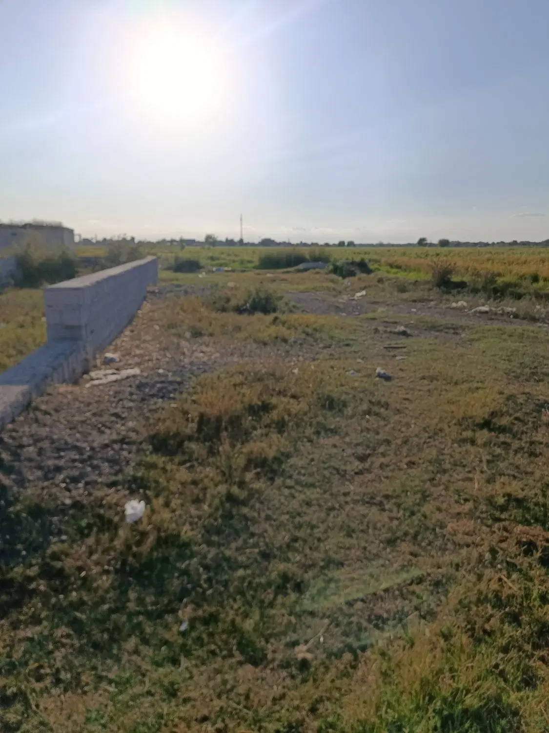 زمین مسکونی