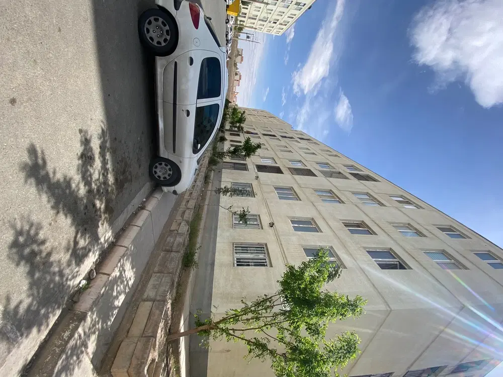 پرند _کیسون_ خام _قیمت_ کاسبی