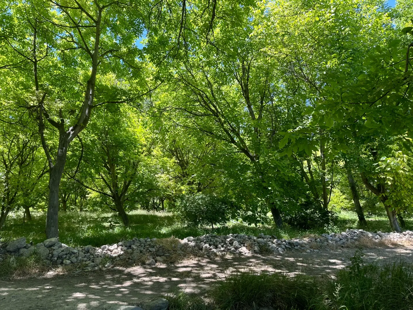باغ آبی گردوقره باشلو