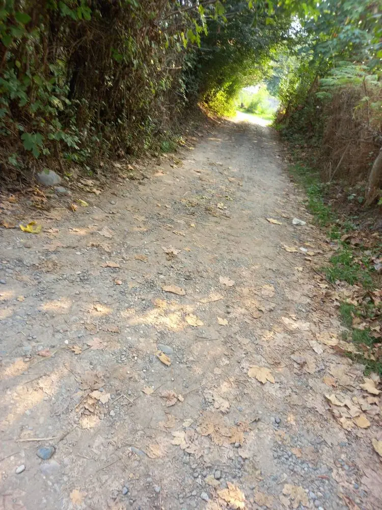 زمین مسکونی