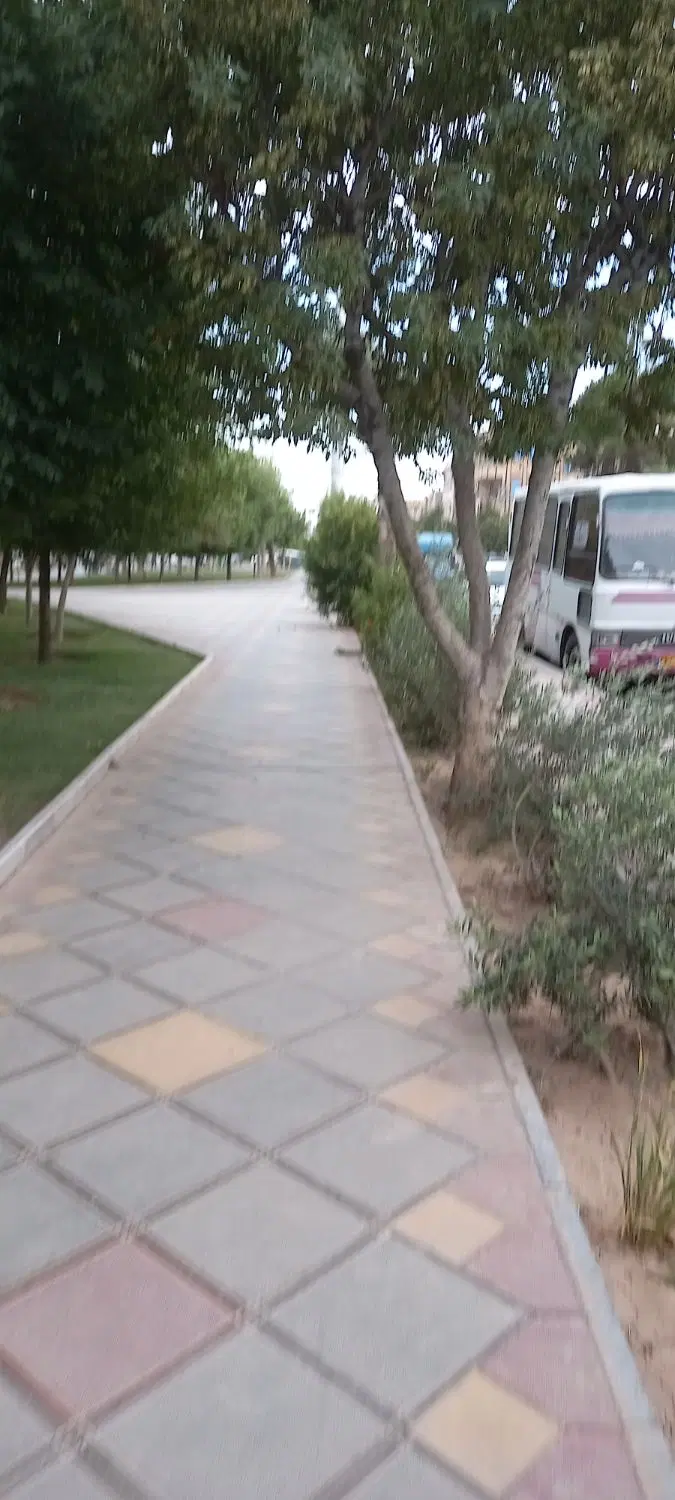 همخونه .