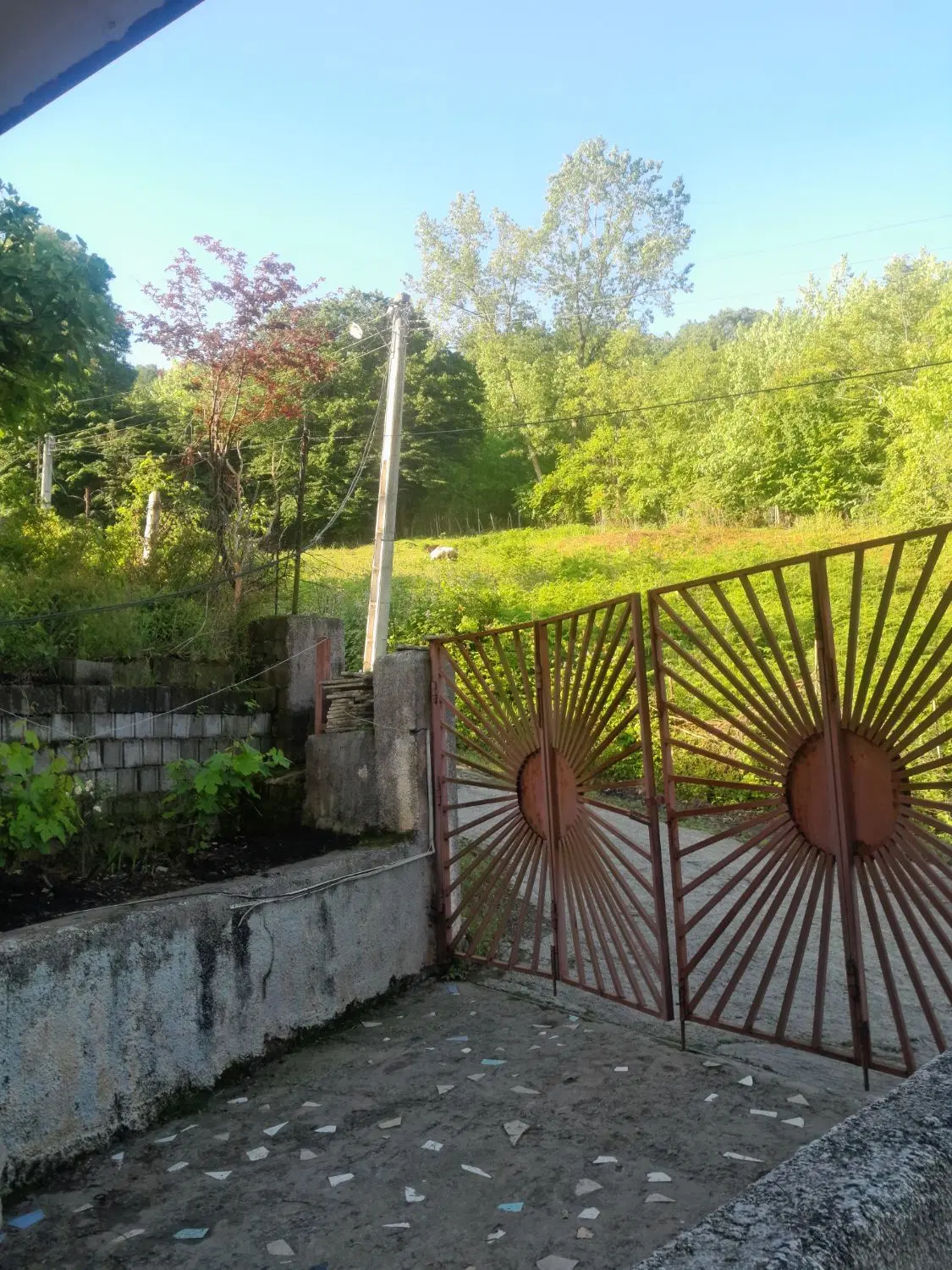 زمین فروشی بهنمیر