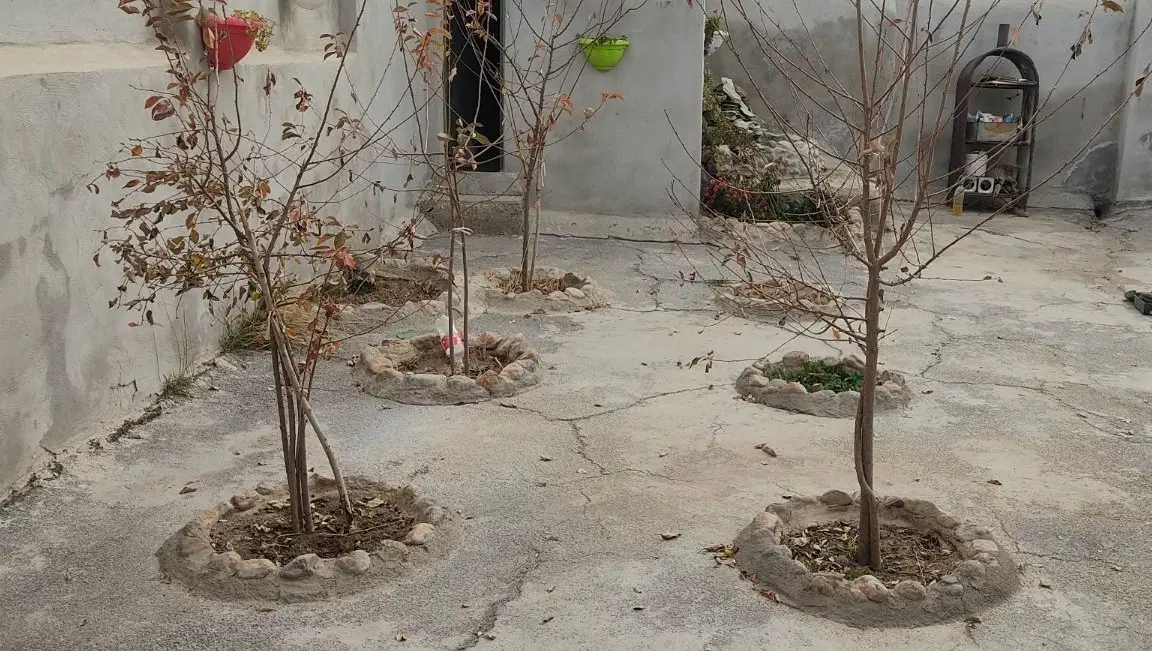 خانه ویلایی
