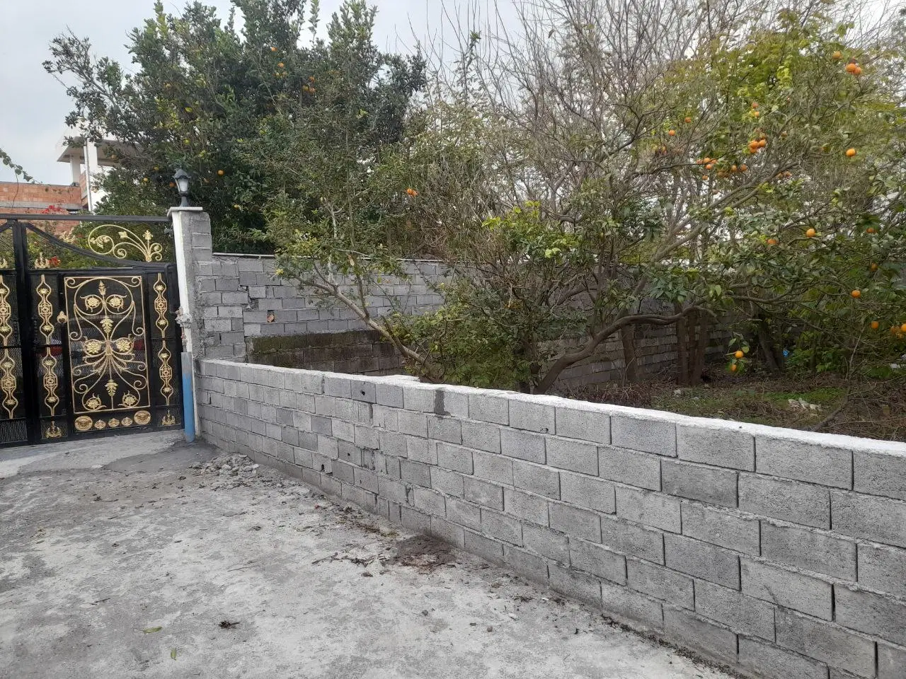زمین مسکونی کنار دریا ، ایزد شهر