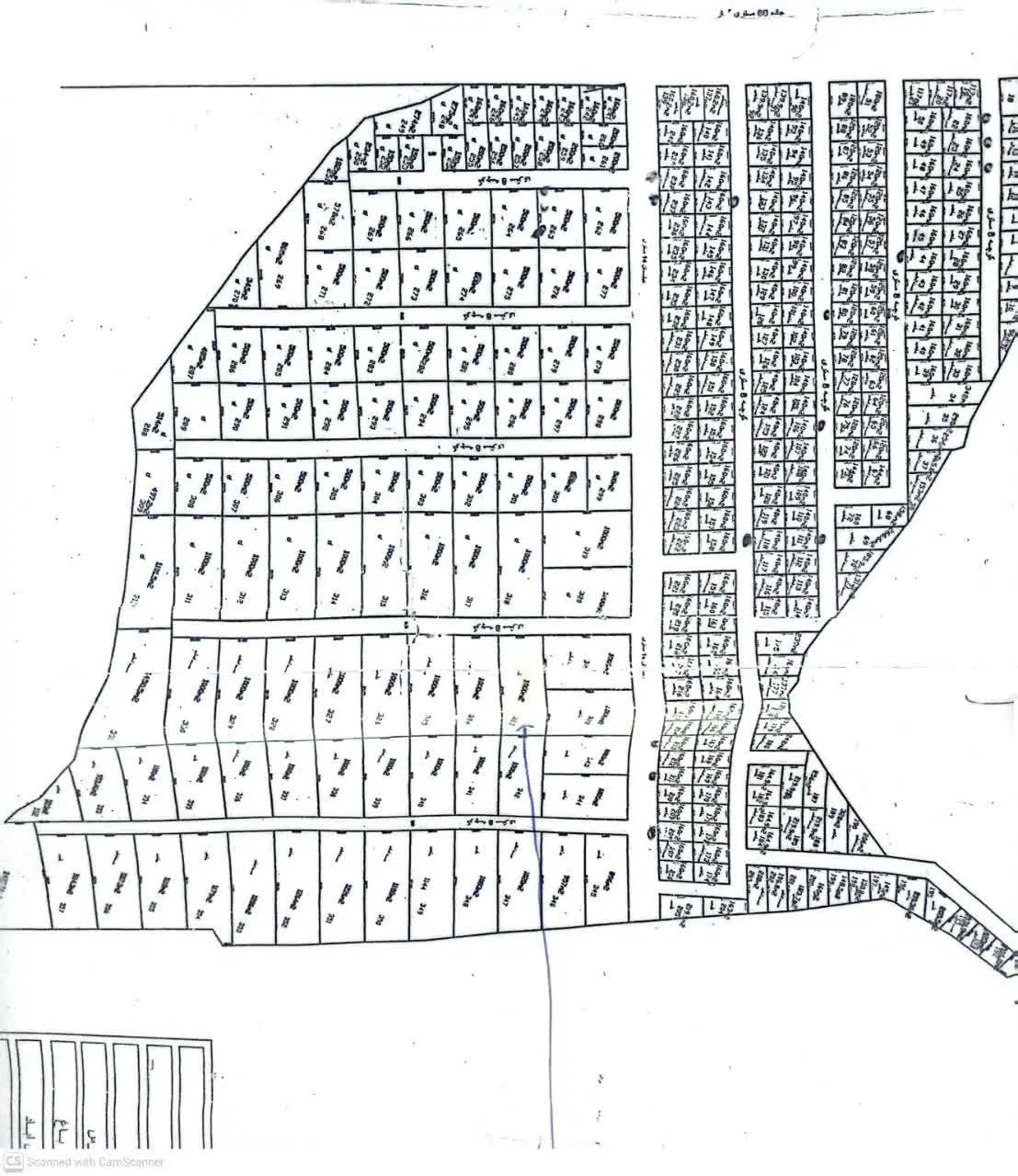 زمین کرونی شیراز