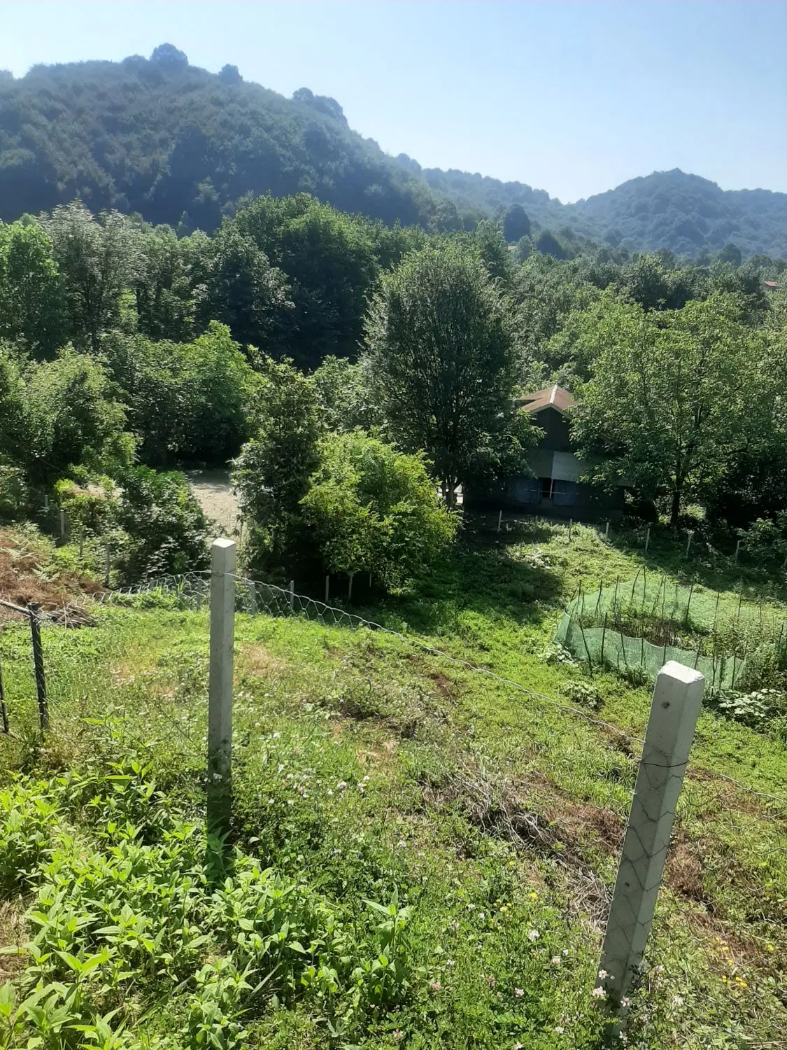 تهاتر زمین ۱۰۰۰متری کوهپایه ای بامجوزساخت