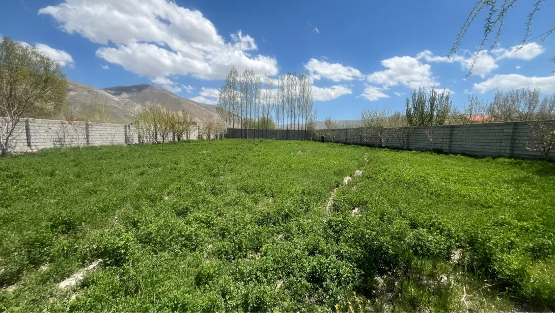 زمین ویلایی در سعید آباد (سیداوا)
