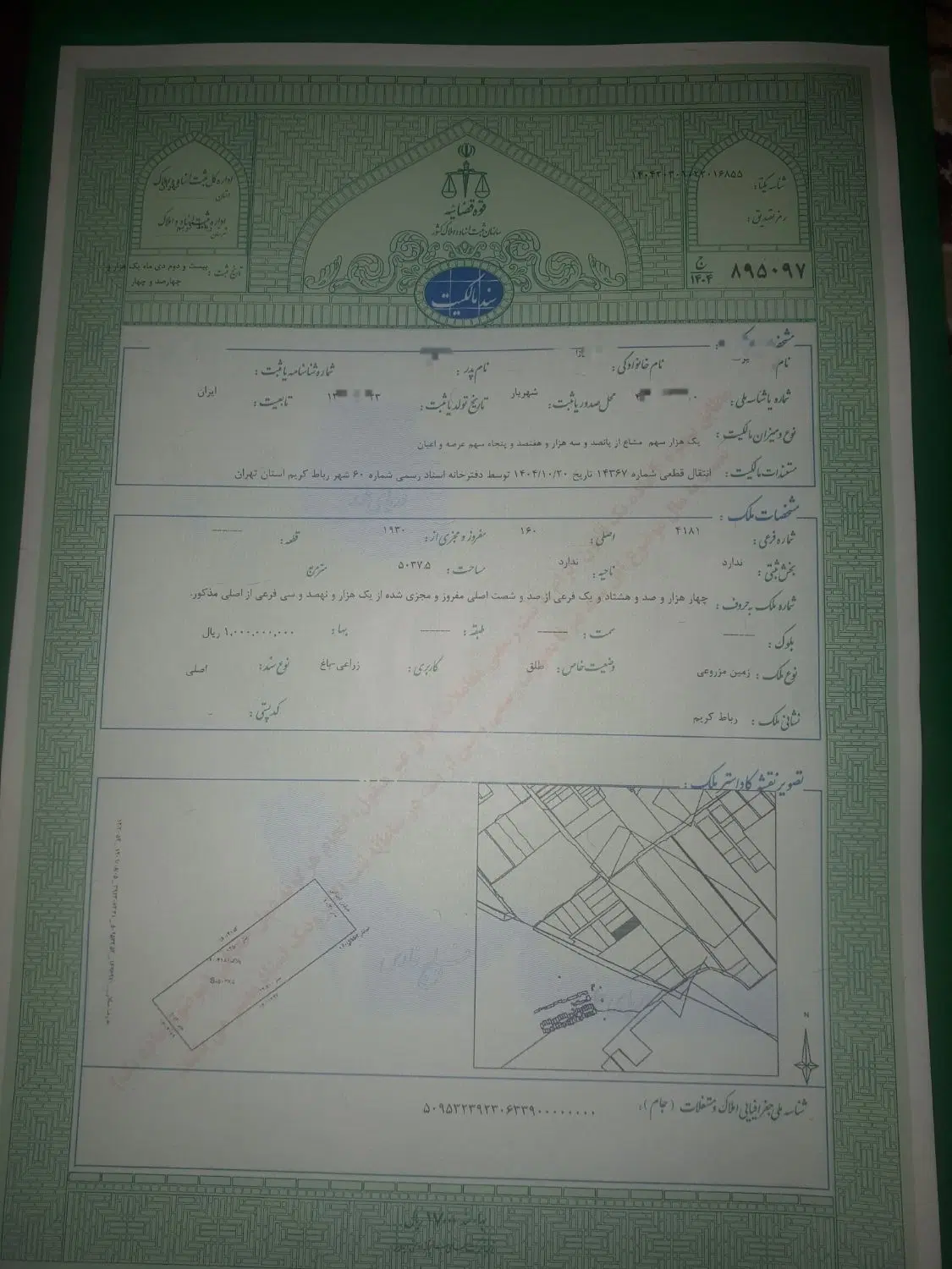 زمین سند تک برگ