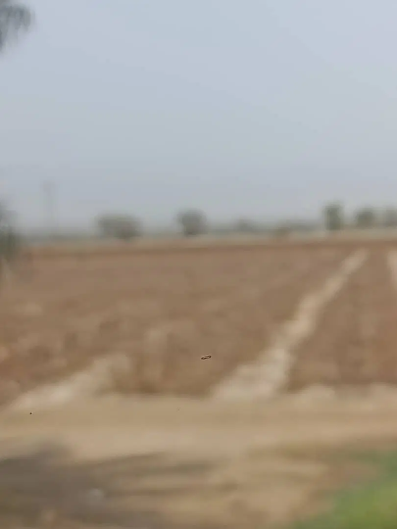 زمین فروشی
