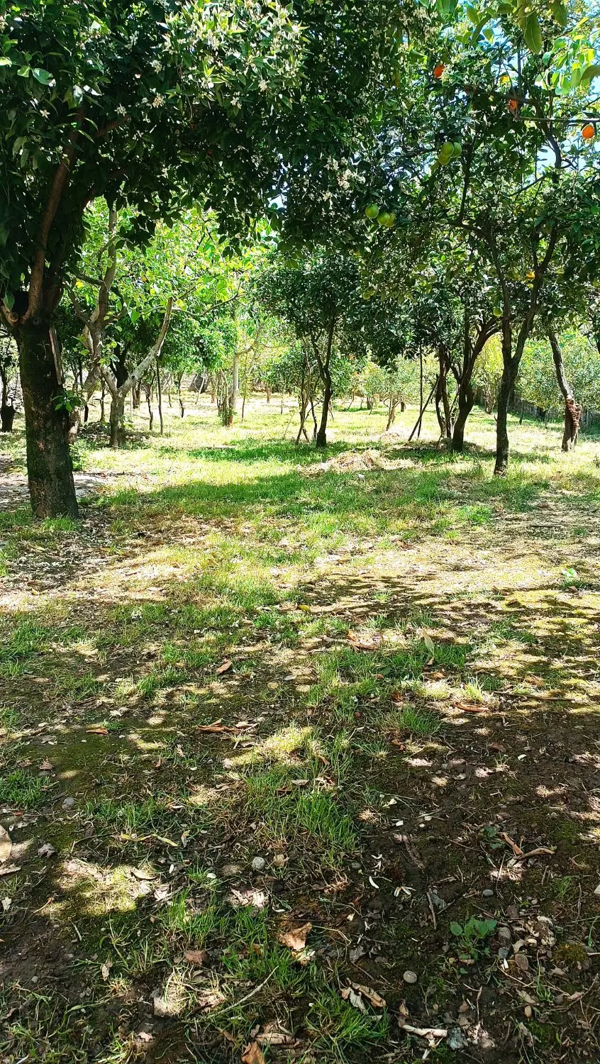فروش زمین مسکونی