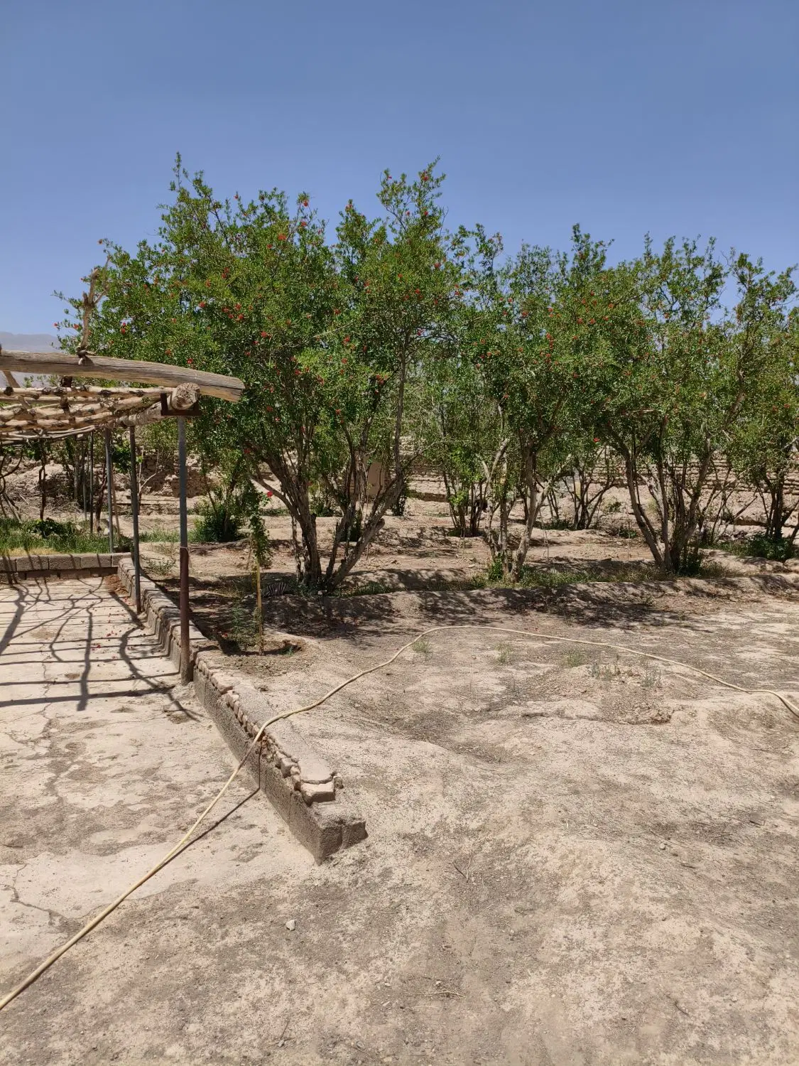 خانه باغ گلباف