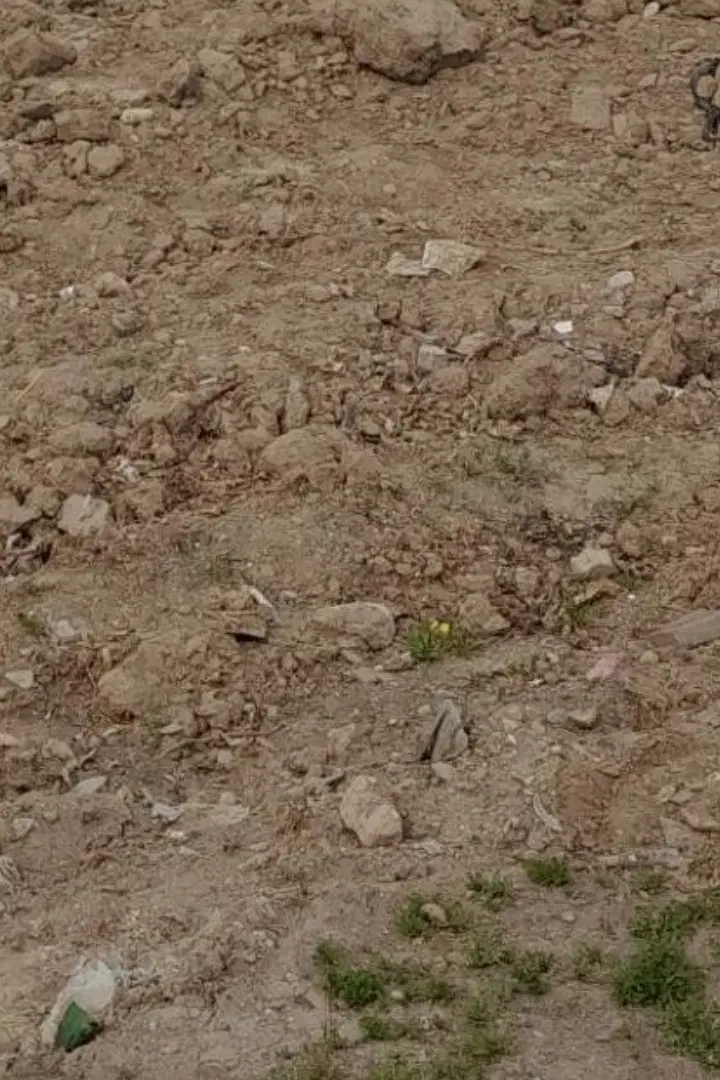 زمین در حاجی اباد ملایر