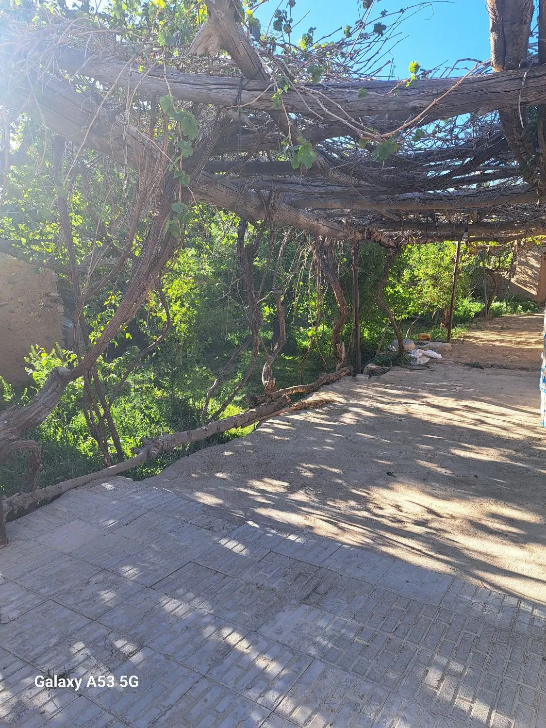 زمین ۹قصبی
