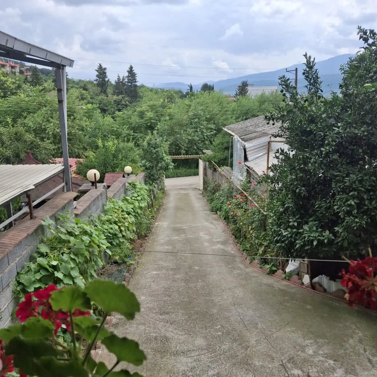 خونه ی قدیمی