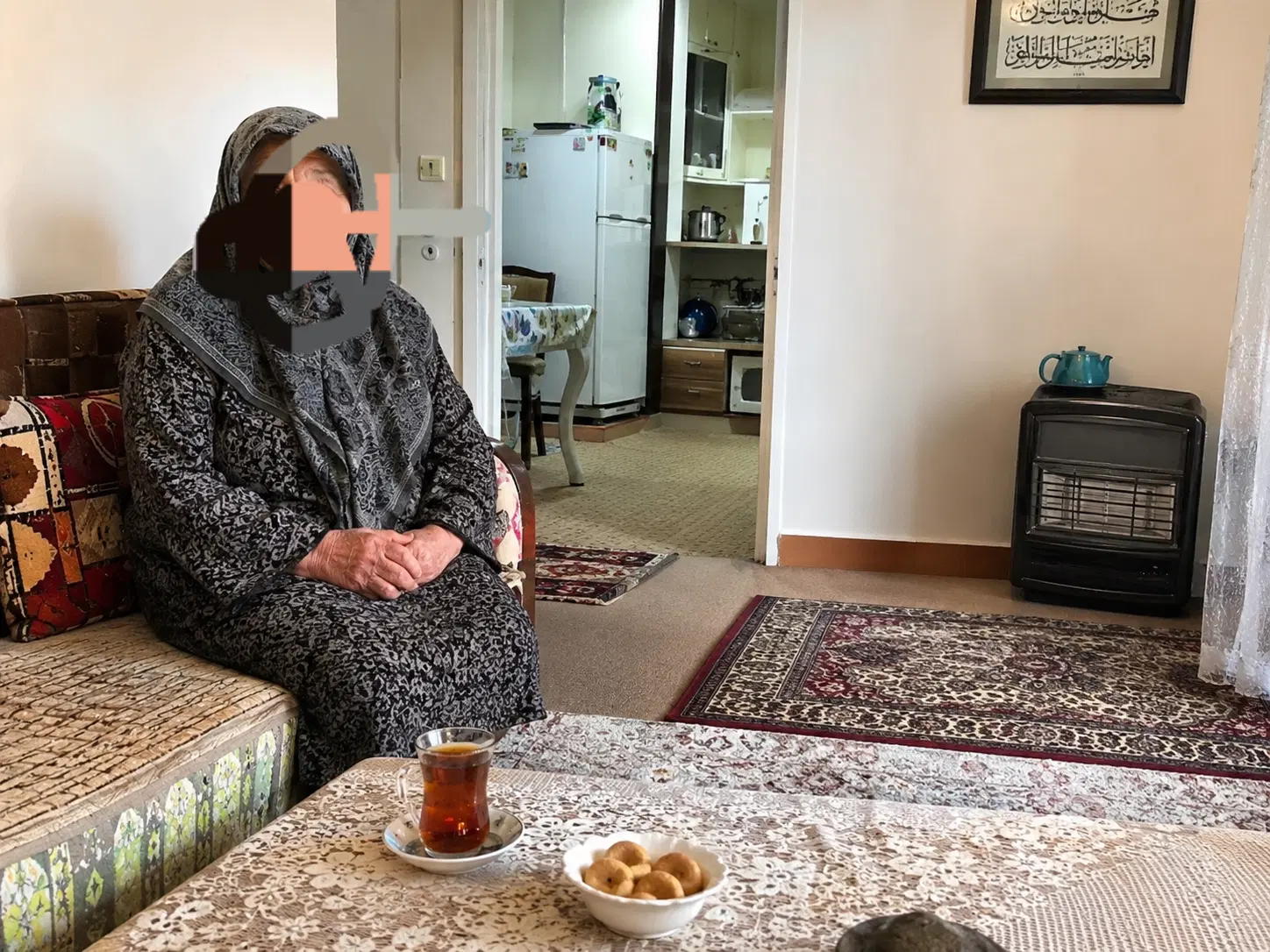 هم خانه خانم بدون پرداخت اجاره