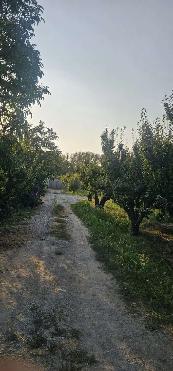 380 متر باغچه ملارد لم آباد