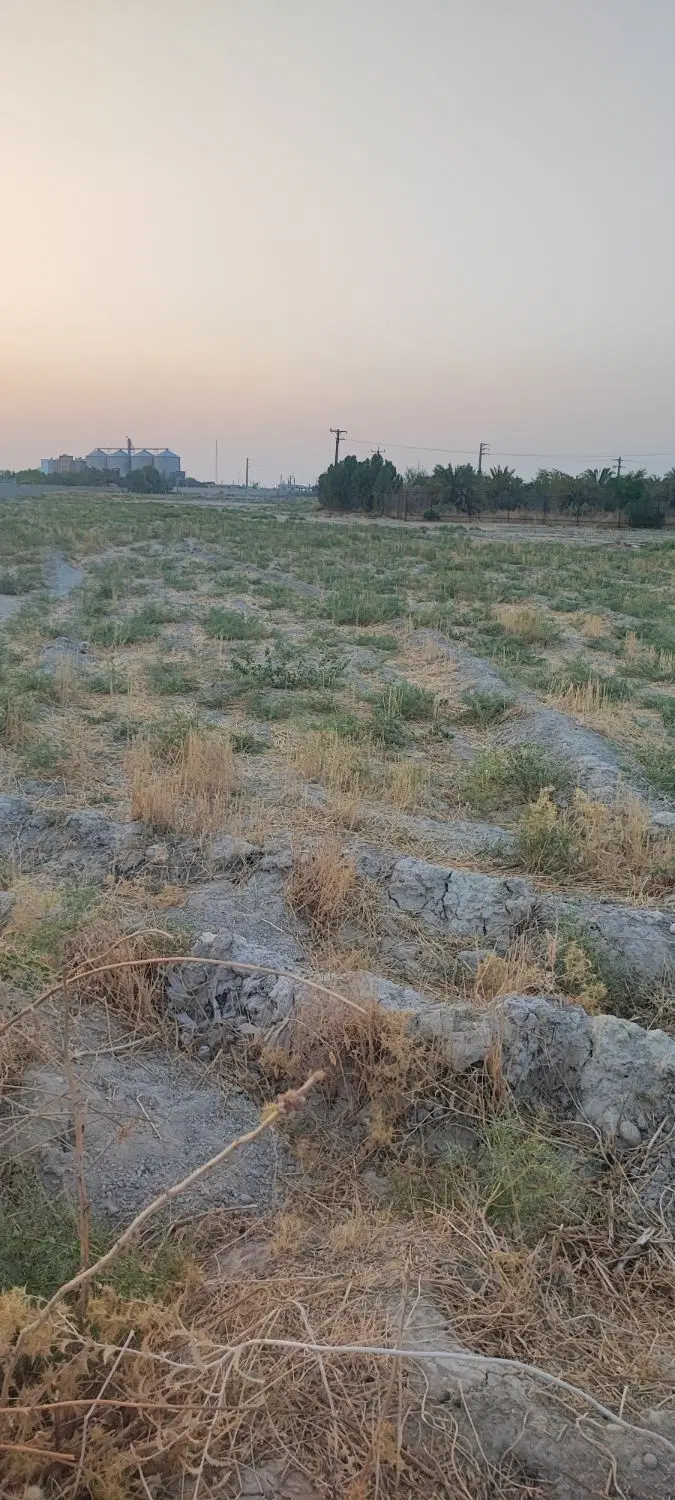 زمین کمتوله