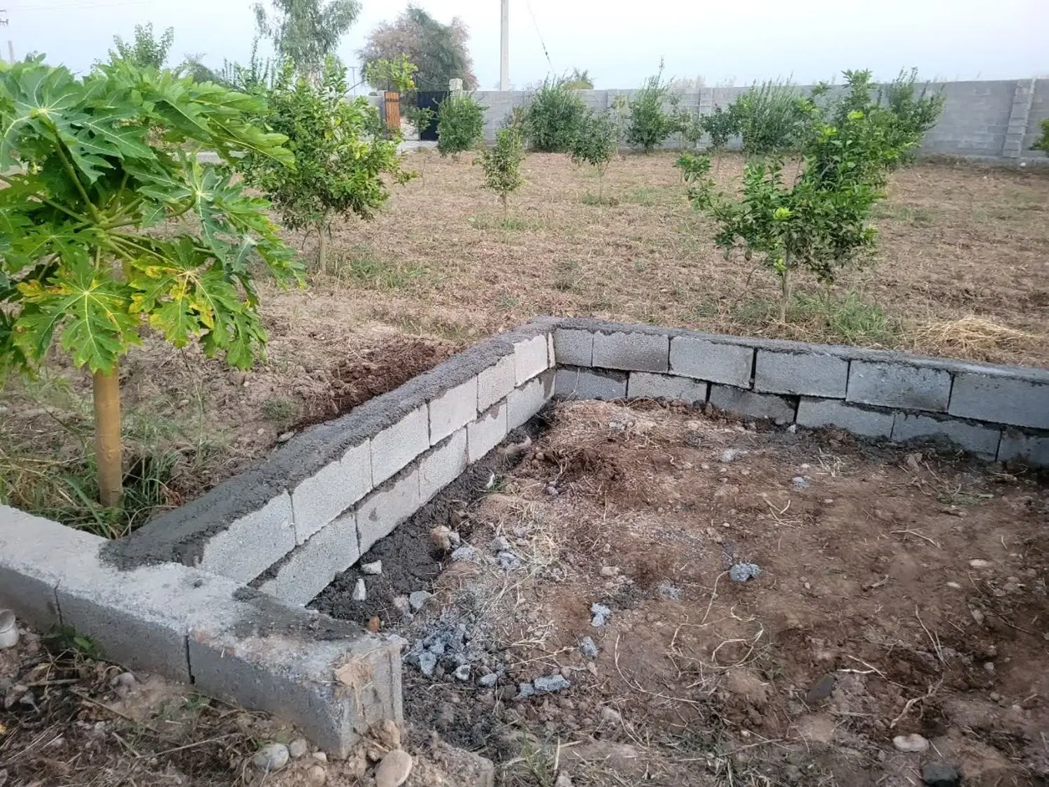 باغچه ۱۰۰۰ متری