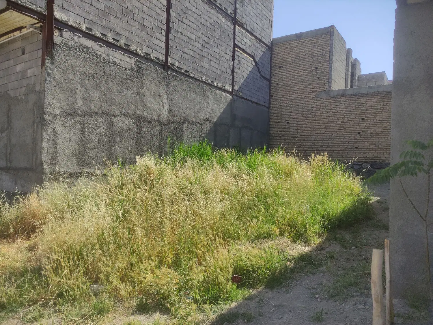 زمین 84 متری نایسر