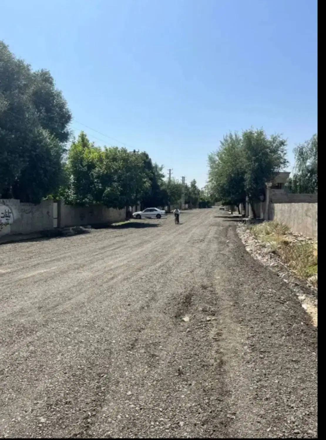 باغچه 10 ساله..سند تک برگ..چهار باغ