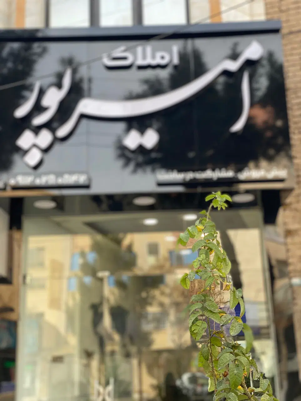 واحد ۱۵۵متری حاشیه مطهری