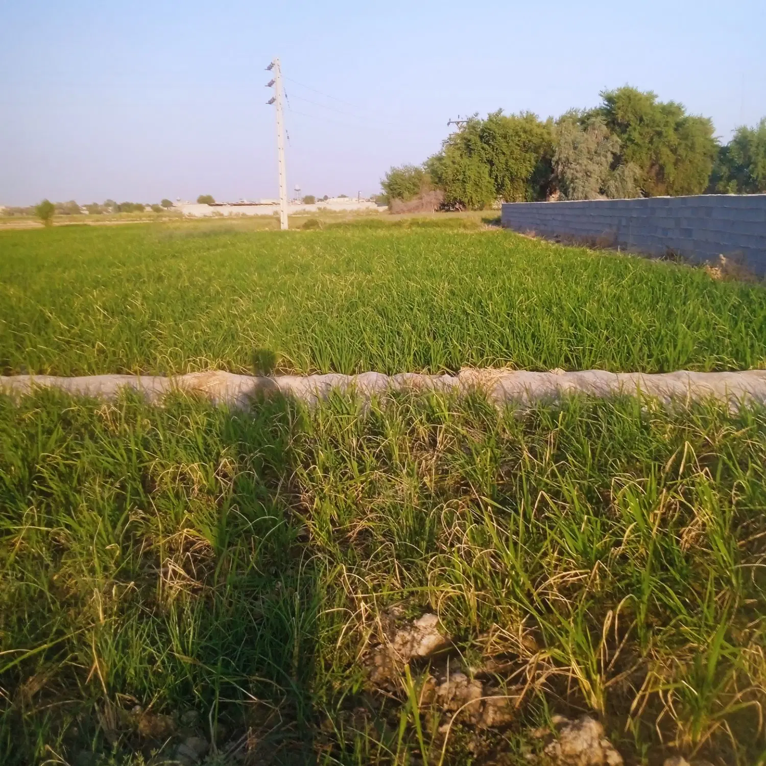 زمین باغ ویلا