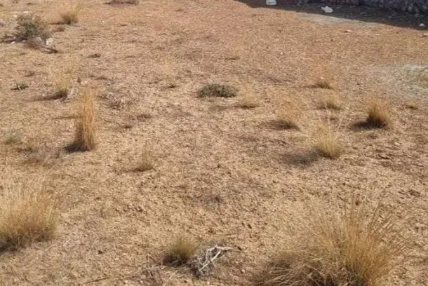 زمین ۶۰۰متری فیه