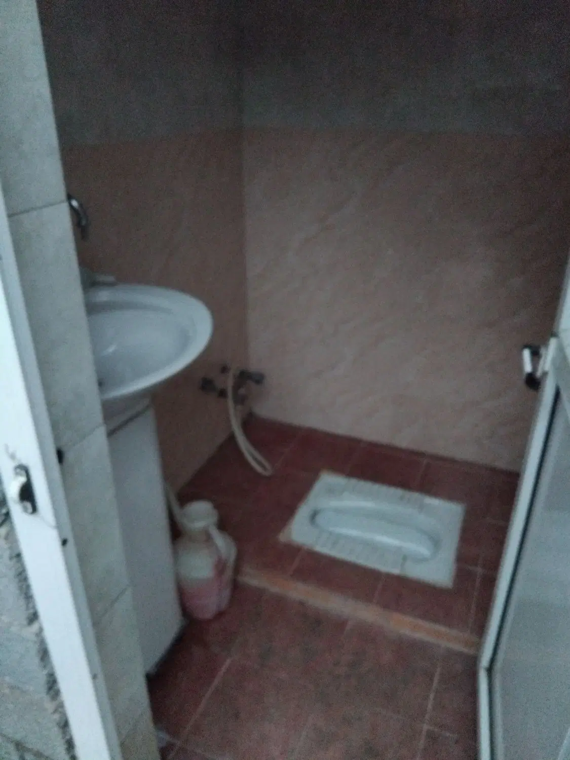 اجاره سوئت جنگلی