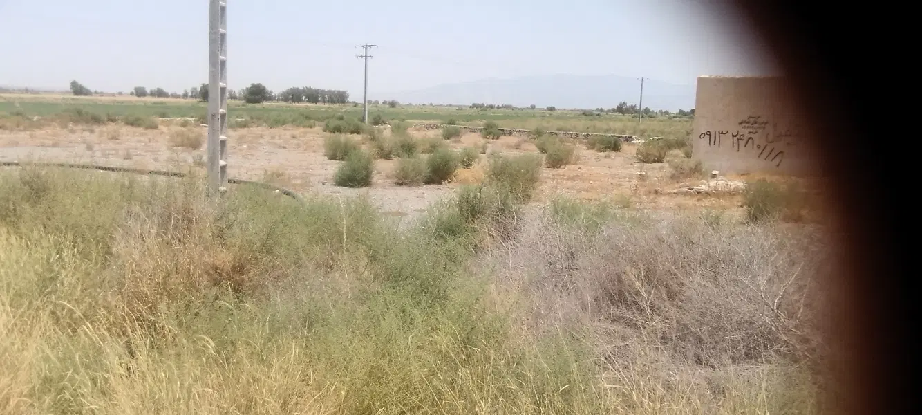 زمین کشاورزی