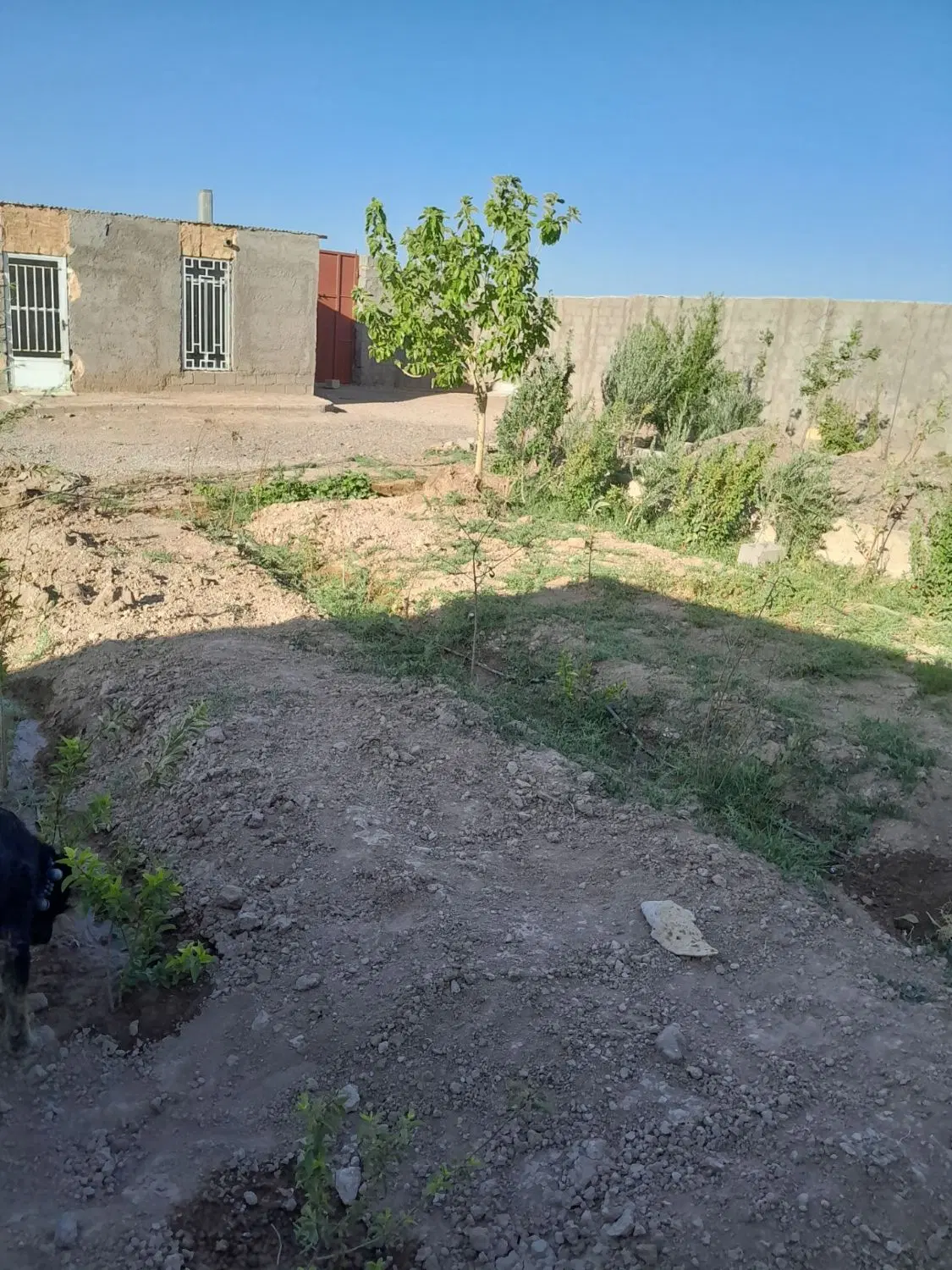 خانه باغ