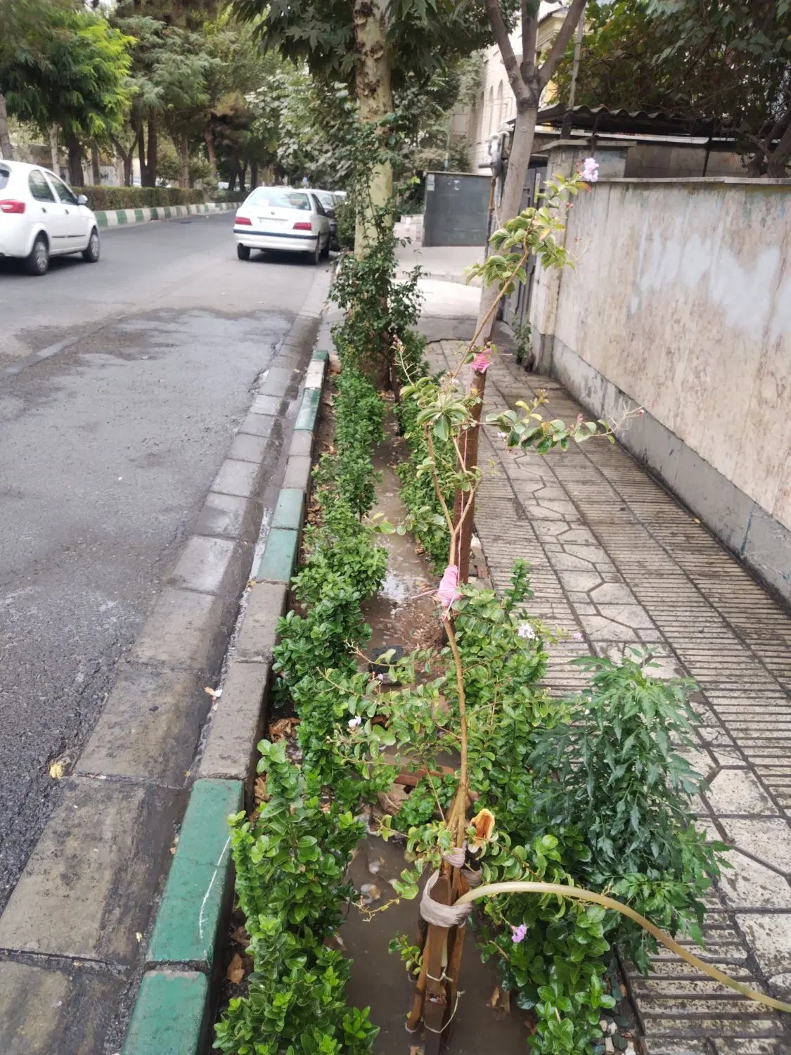 فروش خانه ویلایی 8 غربی گوهردشت استسنائی