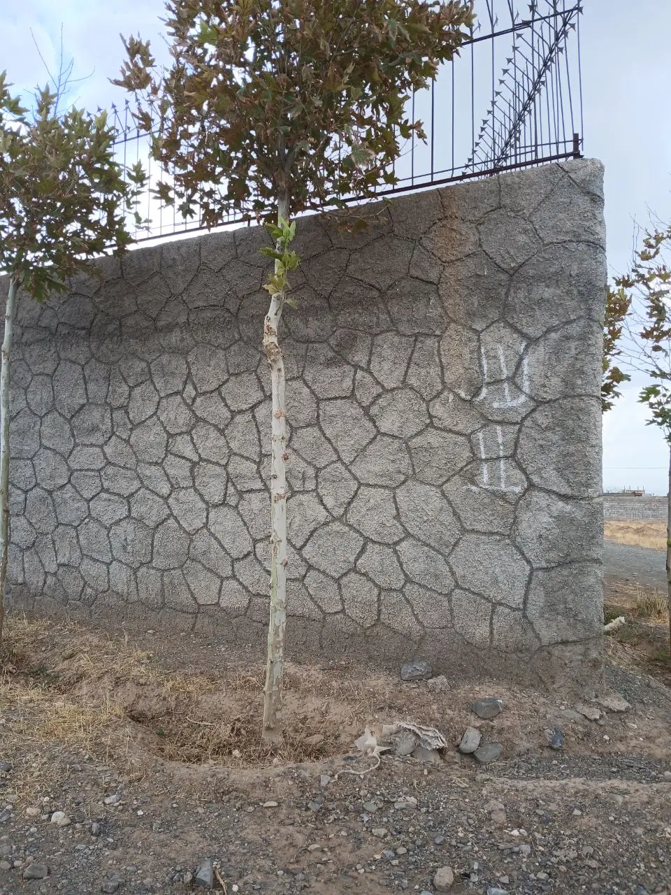 زمین در روستای بهار