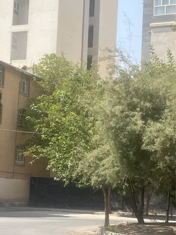 زمین تجاری مسکونی ۲۹۰ متری دو بر اساتید جدید فاز ۱