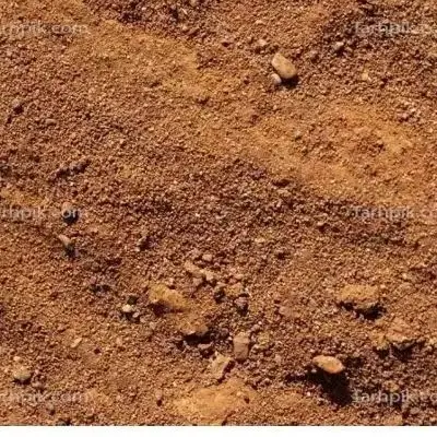 زمین مسکونی جنوبی  ۲۰۰مترکرگانه