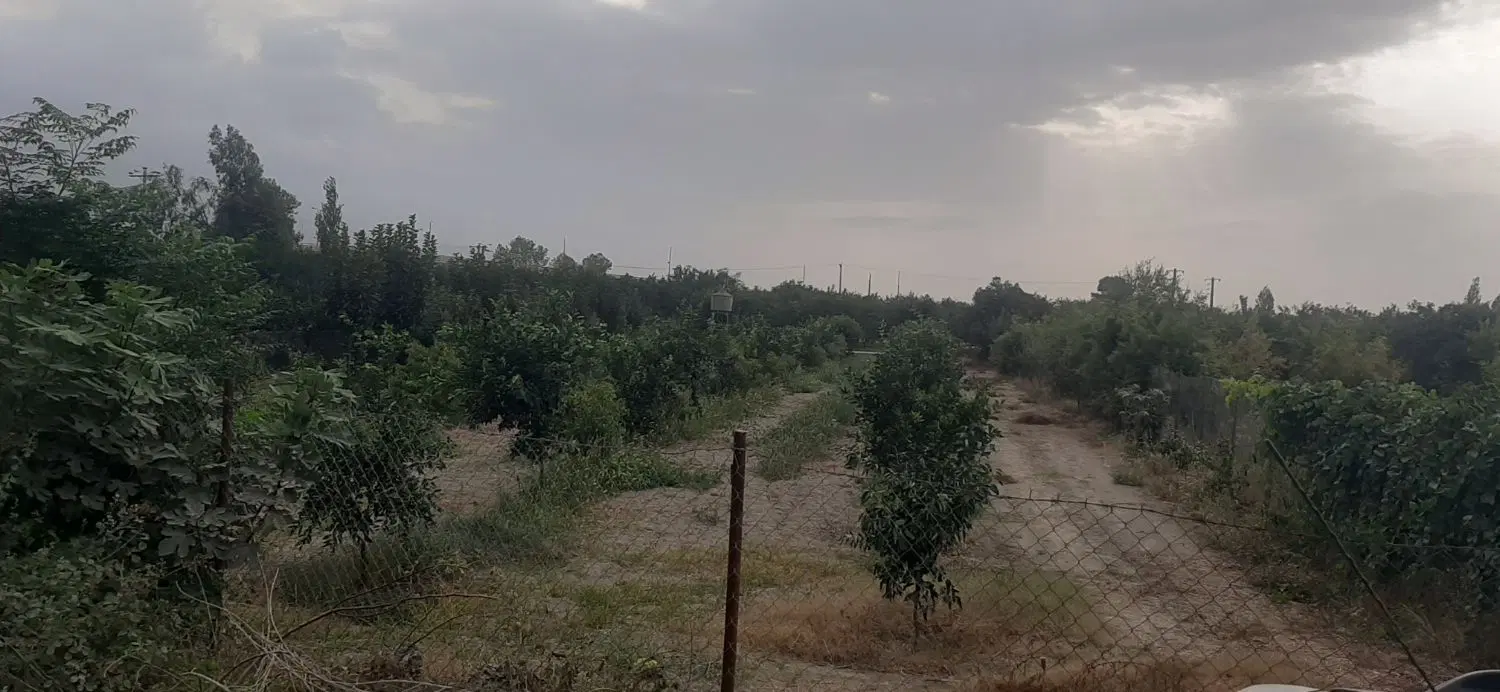 باغ کشاورزی زمین