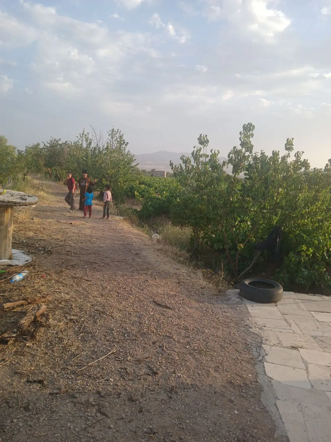 فروش باغ انگور